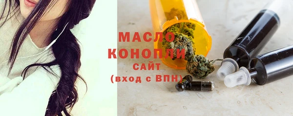 индика Кодинск