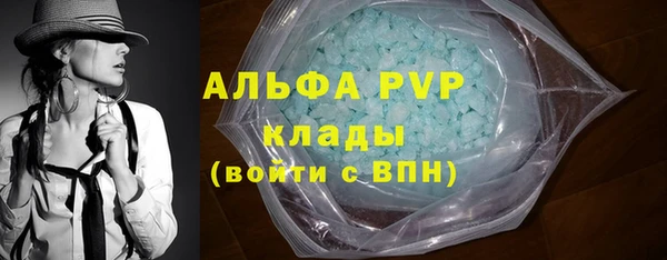 индика Кодинск