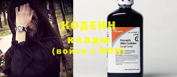 индика Кодинск