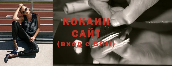 индика Кодинск