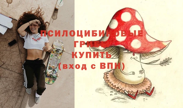 индика Кодинск