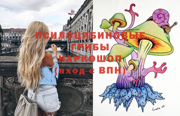 молекула духа Козловка