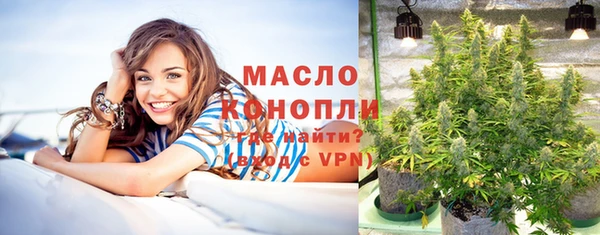 молекула духа Козловка