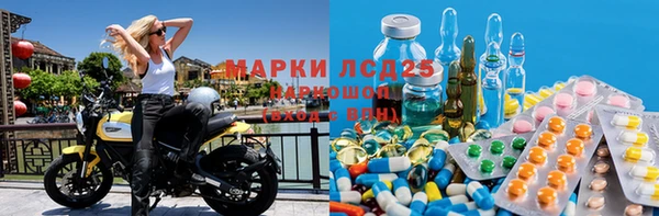 молекула духа Козловка