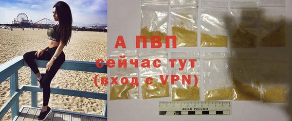 индика Кодинск
