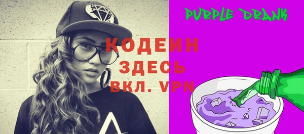 индика Кодинск